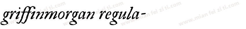 griffinmorgan regula字体转换